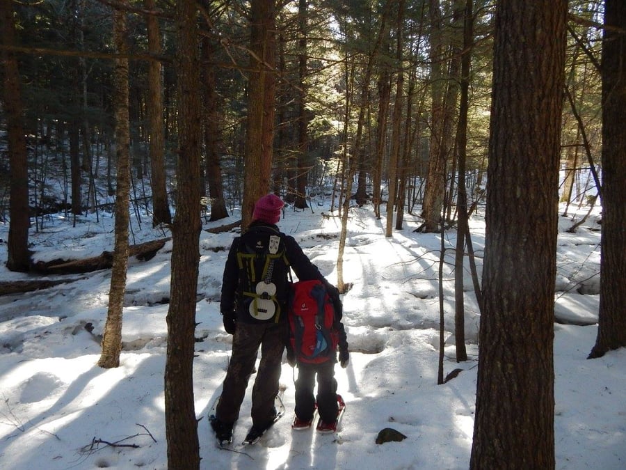 Deuter, Bags, snow, woods, travel, kids