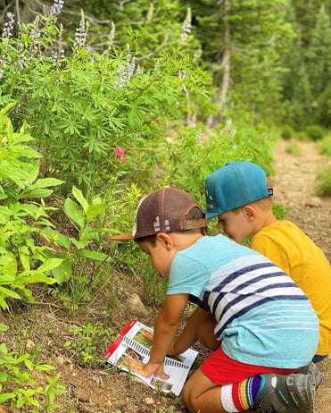Two children kneeling by wildflowers and looking at a book