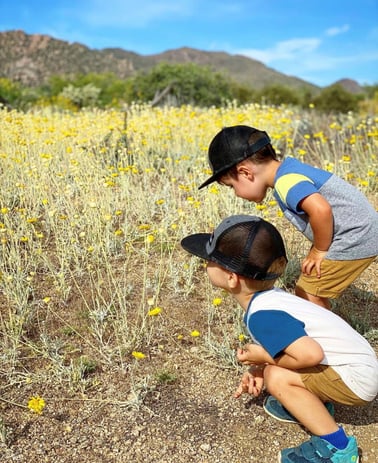 Two children looking at a field of yellow wildflowers