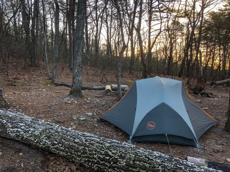 Camping in the woods