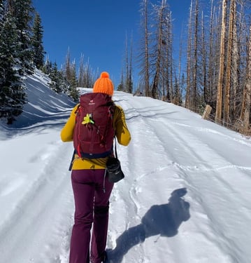 Iris on a winter hike